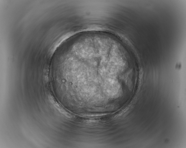 X0000114561409200911091208