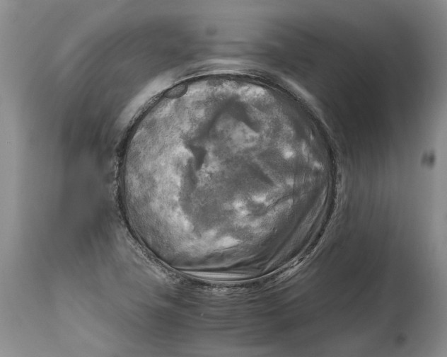 X0000114561411200911091208