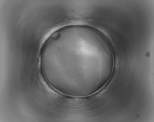 X0000114561414200911091208