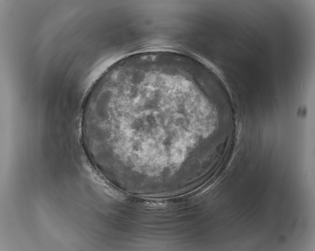 X0000114561415200911091208