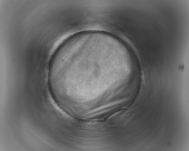 X0000114561416200911091208