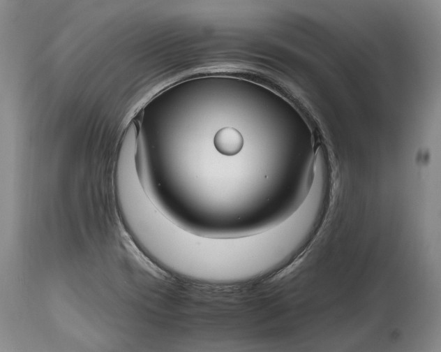 X0000114561417200911091208
