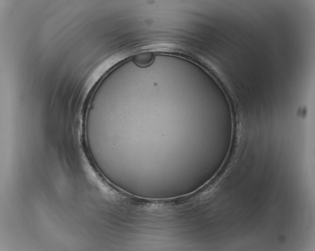 X0000114561418200911091208