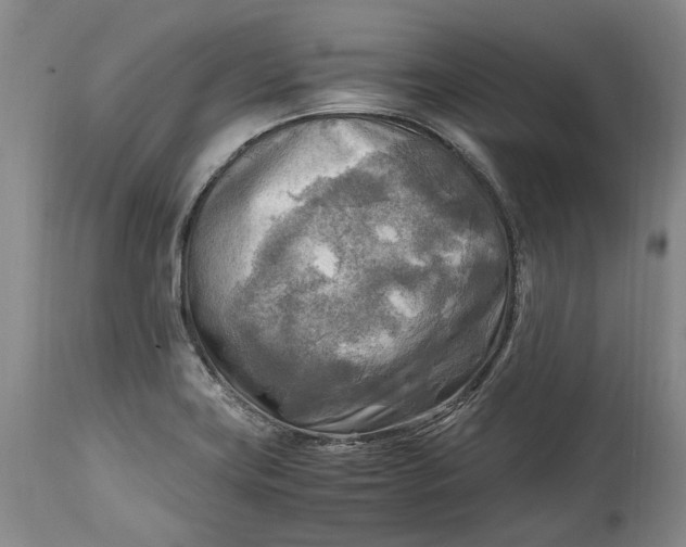 X0000114561419200911091208