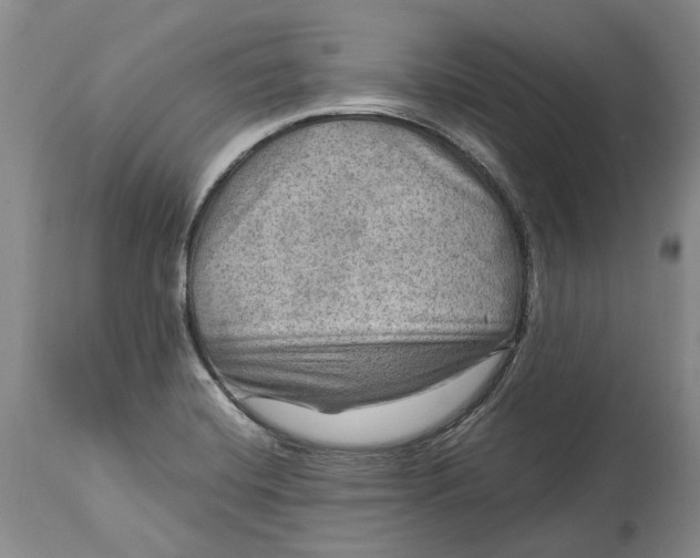 X0000114561420200911091208