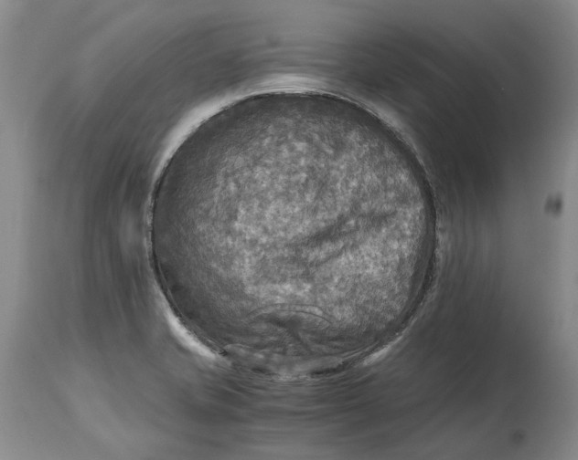 X0000114561421200911091208