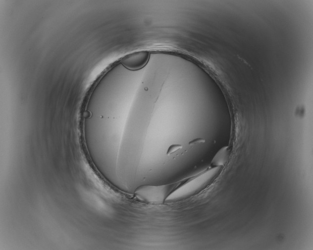 X0000114561422200911091208