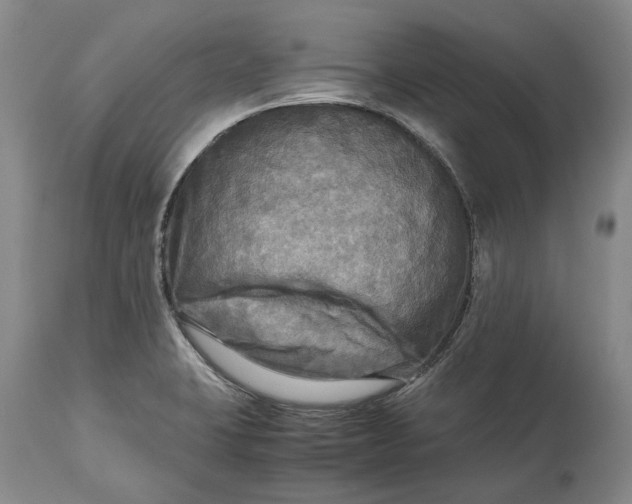 X0000114561423200911091208