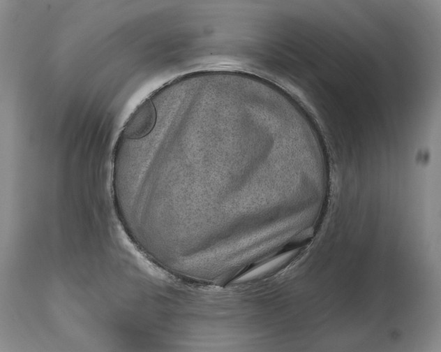 X0000114561424200911091208