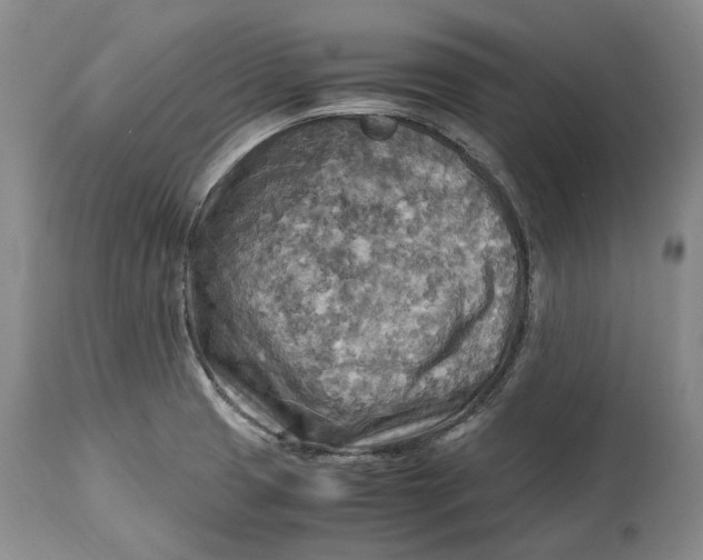 X0000114561425200911091208