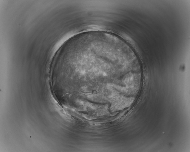 X0000114561427200911091208