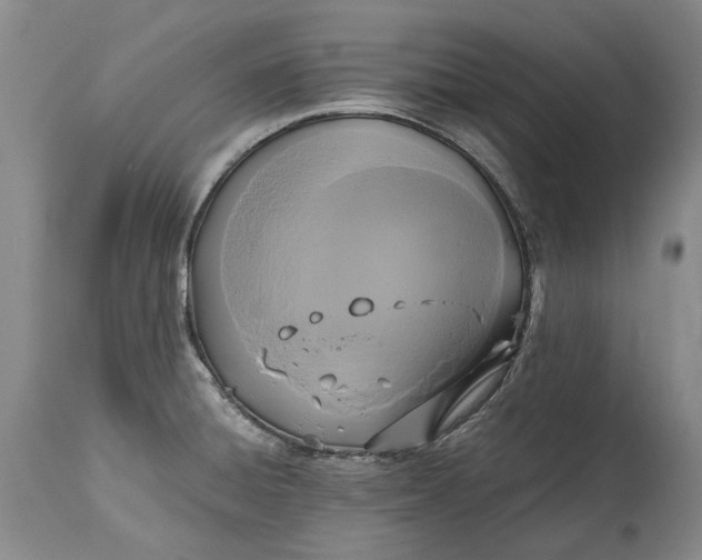 X0000114561428200911091208