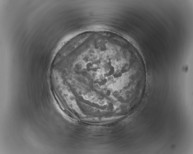 X0000114561429200911091208