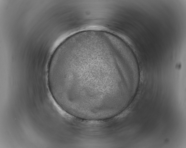 X0000114561430200911091208