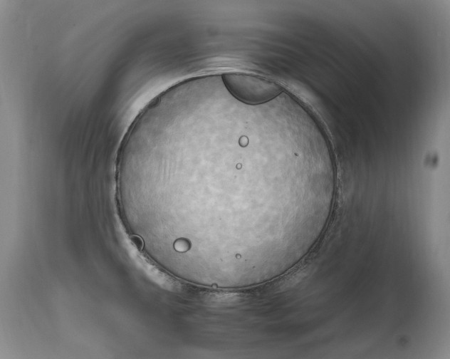 X0000114561431200911091208