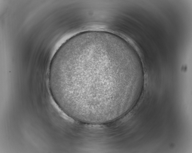 X0000114561432200911091208