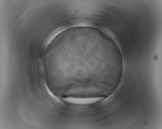 X0000114561433200911091208