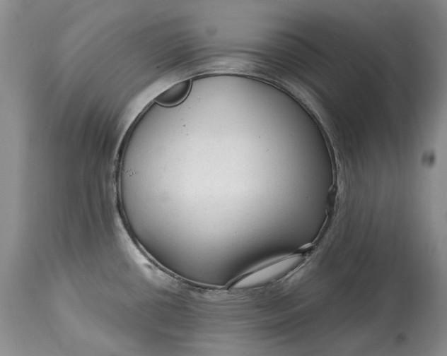 X0000114561434200911091208