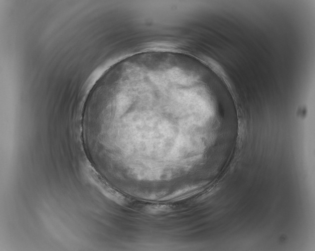 X0000114561435200911091208