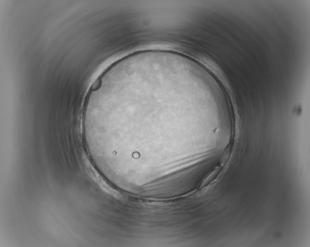 X0000114561436200911091208