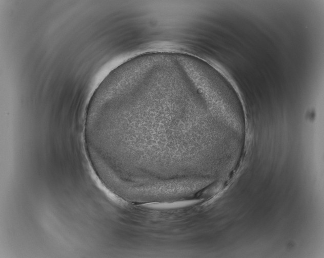 X0000114561437200911091208
