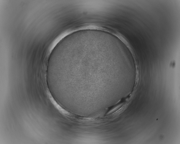 X0000114561438200911091208