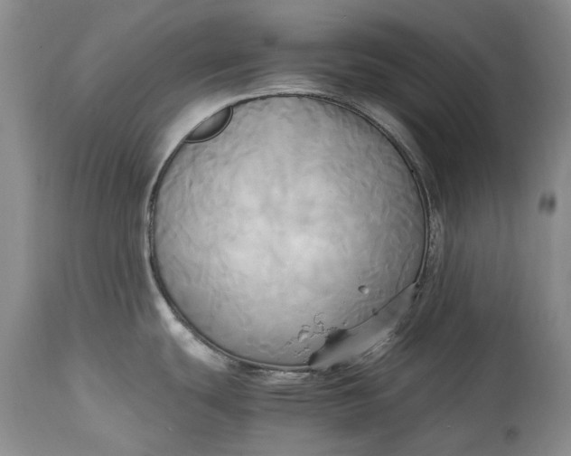 X0000114561439200911091208