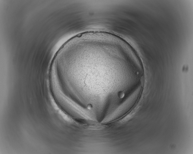 X0000114561440200911091208