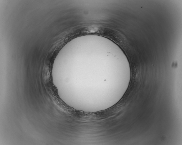 X0000114561442200911091208