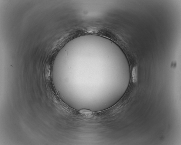 X0000114561443200911091208