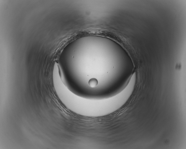X0000114561444200911091208