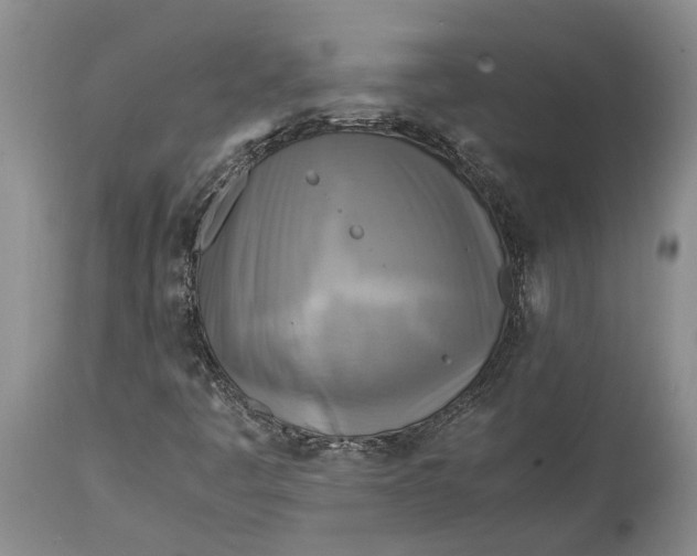 X0000114561445200911091208