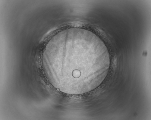 X0000114561446200911091208