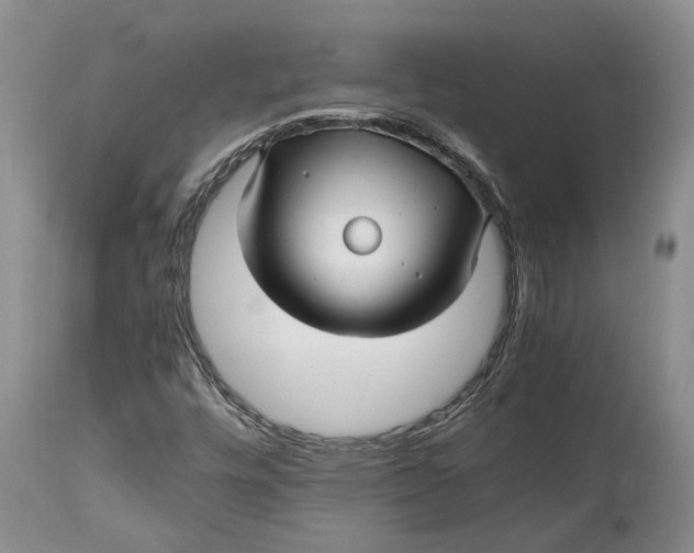X0000114561448200911091208