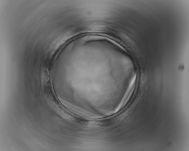 X0000114561449200911091208
