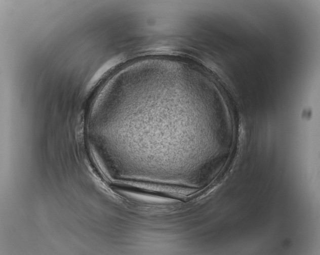 X0000114561450200911091207