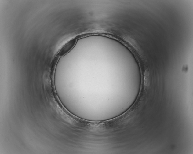 X0000114561452200911091207