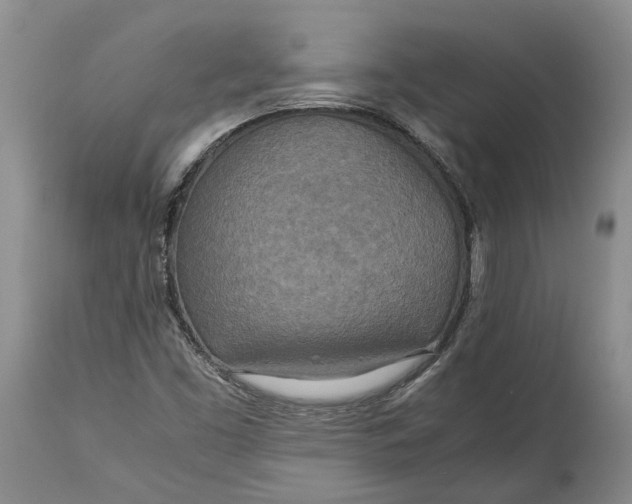 X0000114561453200911091207