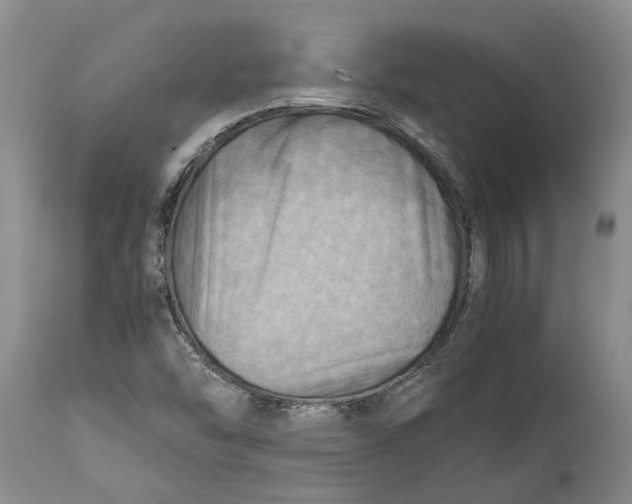 X0000114561454200911091207