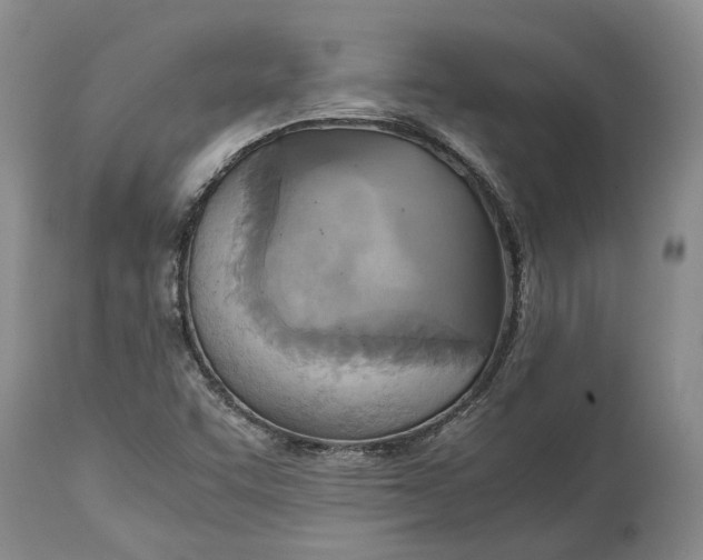 X0000114561455200911091207