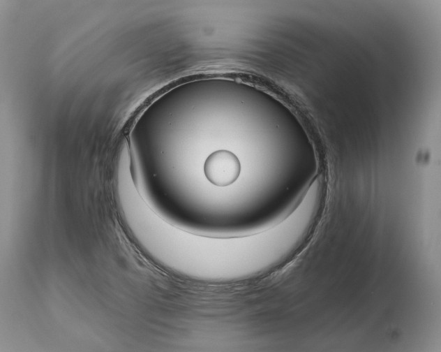 X0000114561457200911091207