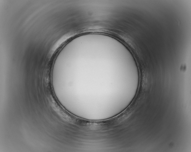 X0000114561458200911091207