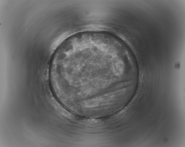 X0000114561459200911091207