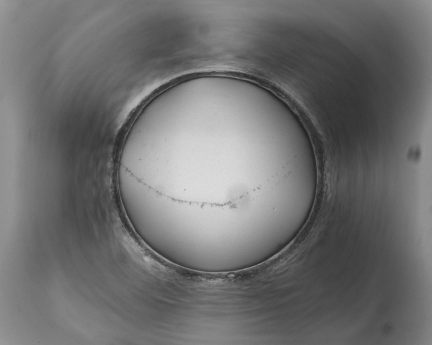 X0000114561460200911091207