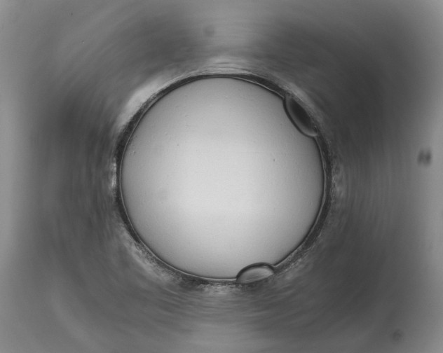 X0000114561461200911091207