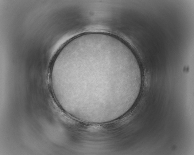 X0000114561462200911091207