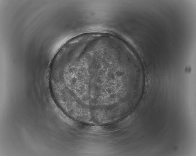 X0000114561463200911091207