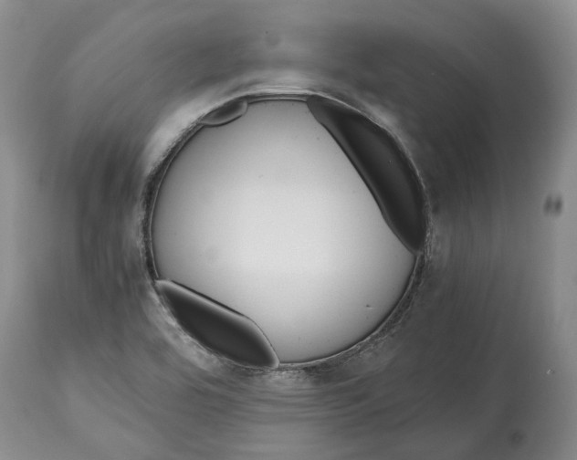 X0000114561464200911091207