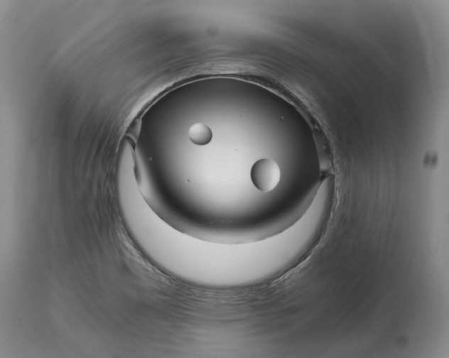X0000114561465200911091207