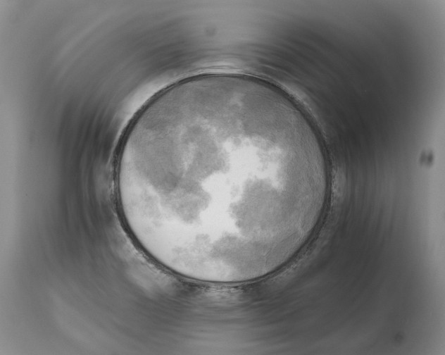 X0000114561466200911091207